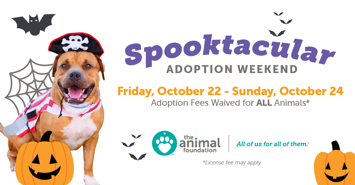 Spooktacular Adoption Weekend 