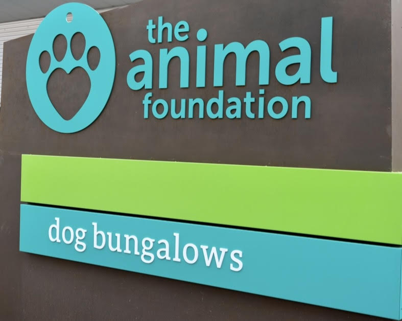 An Update From The Animal Foundation