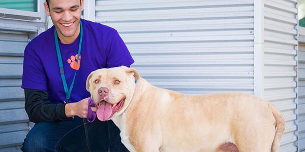 Best Place to Adopt a Pet in Las Vegas │The Animal Foundation