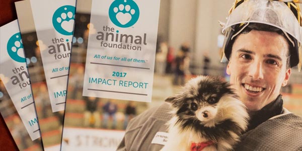 About Us ǀ The Animal Foundation