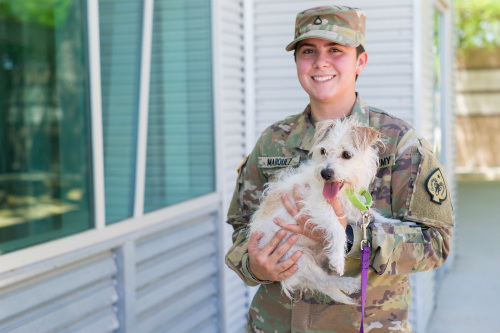 lost dogs home surrender