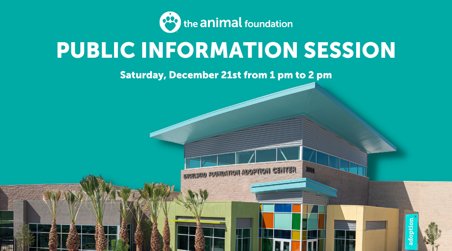 Public Information Session