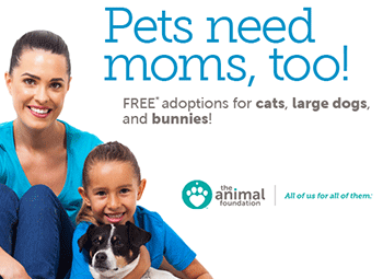 adoption pet mothers