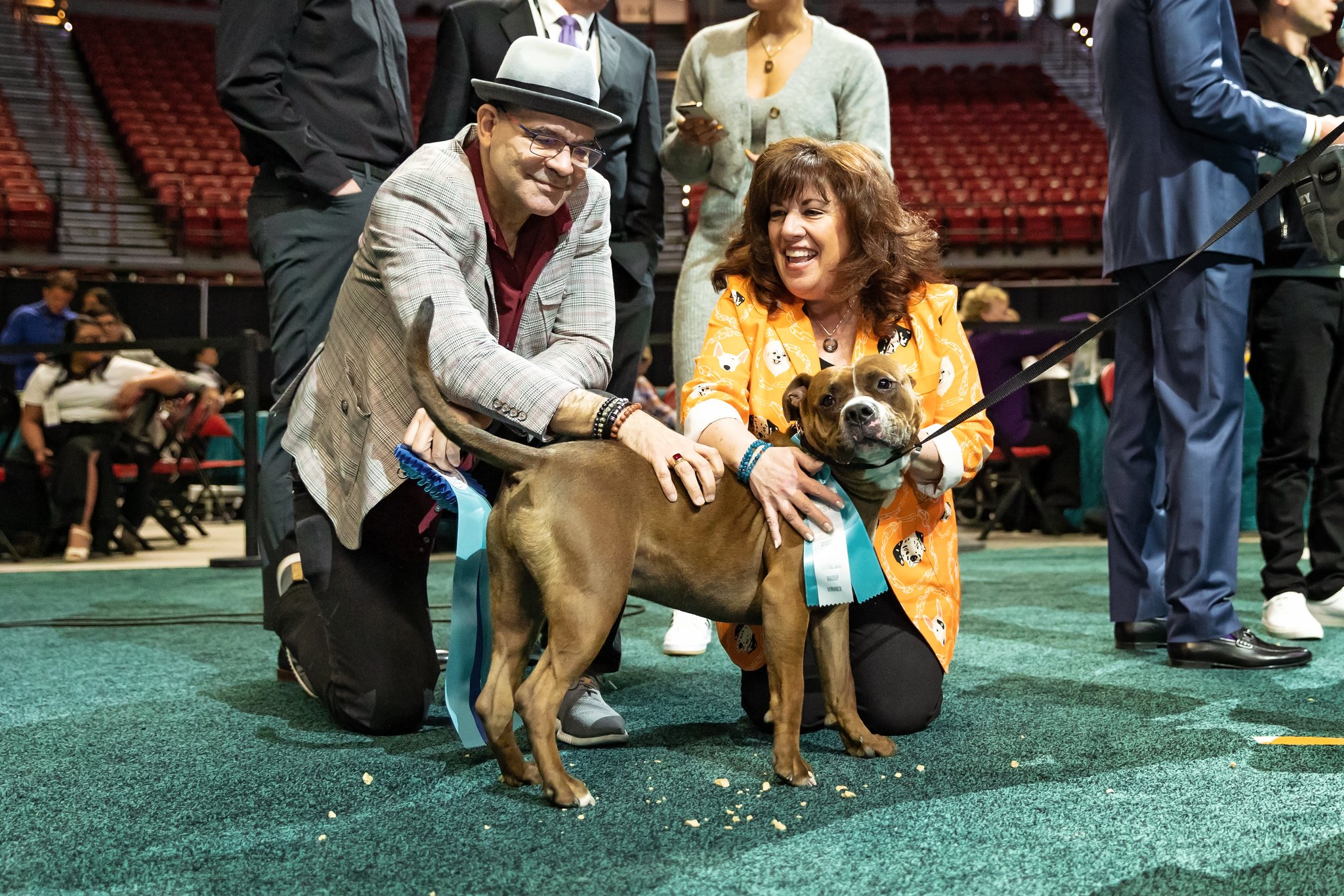Local pit bull, Mr. Worldwide, wins Best in Show at Animal Foundation fundraiser