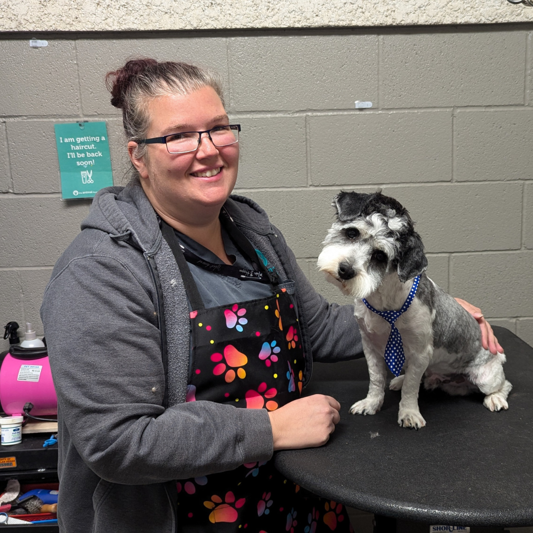 Matted Stray Turns Into The Happiest Dog After A Much-Needed Haircut