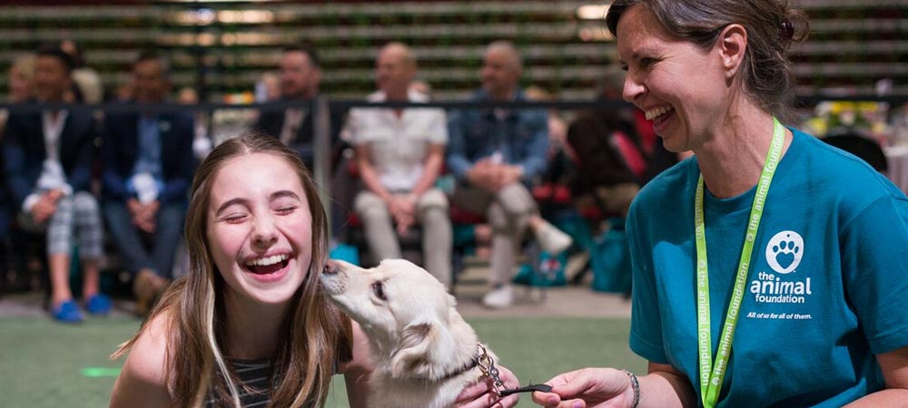 sierra vista animal shelter volunteer