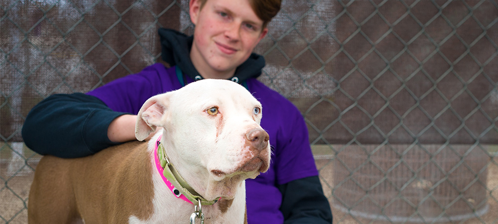 Volunteering at a dog shelter best sale near me