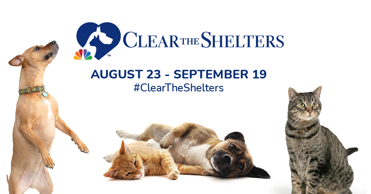 Clear the Shelters 