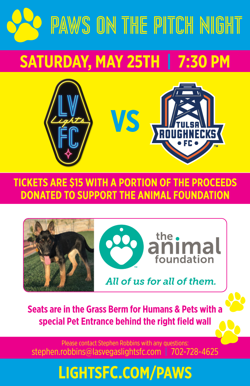 Las Vegas Lights Paws on the Pitch Flyer 