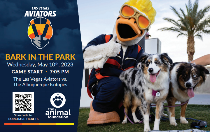 All Star Dogs: Las Vegas Aviators Pet Products