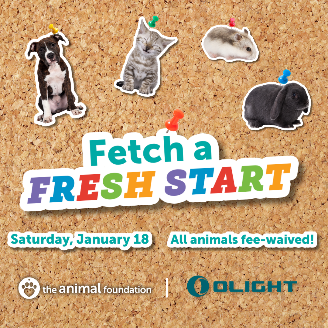  Fetch a Fresh Start – Fee-Waived Adoption Event