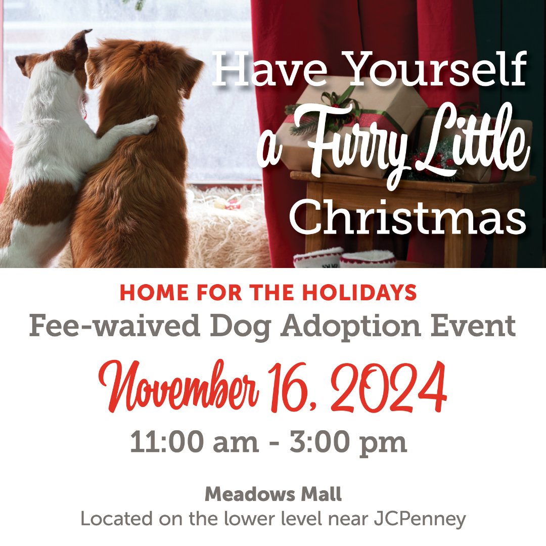 Home for the Holidays Adoption Event