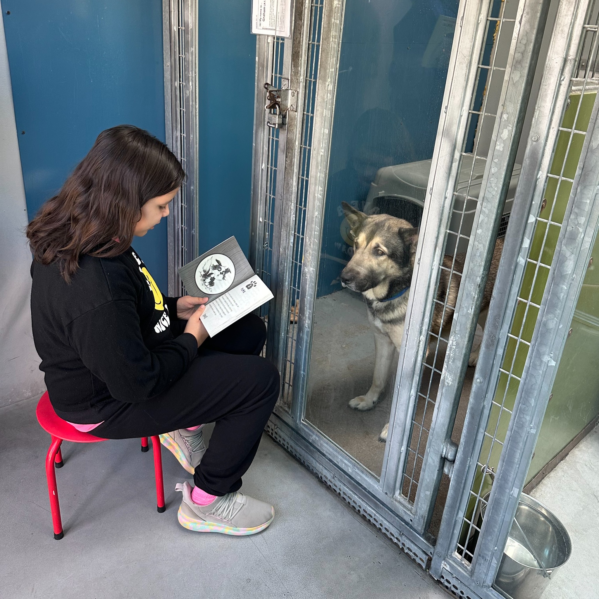 Summer Reading Program