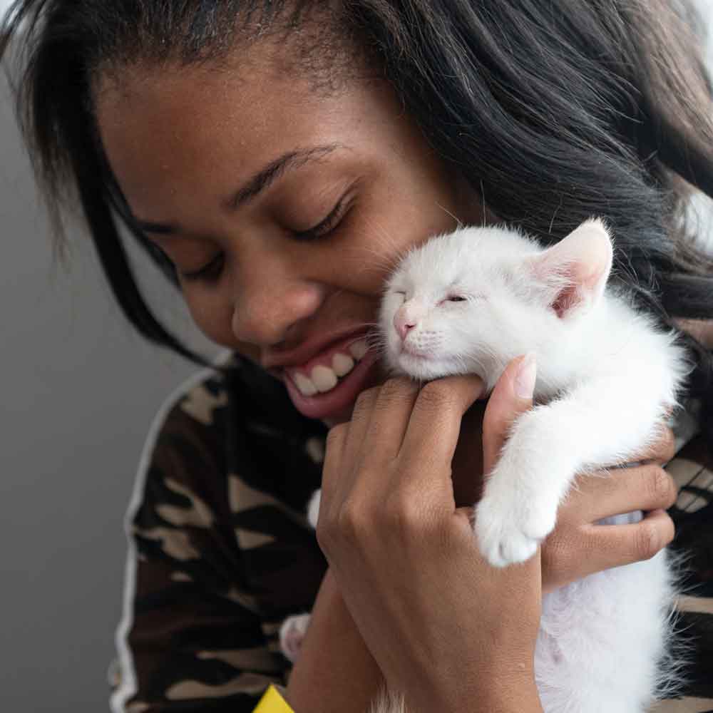 create-a-kitten-foster-mentor-program-kitten-foster-cat-adoption-kitten