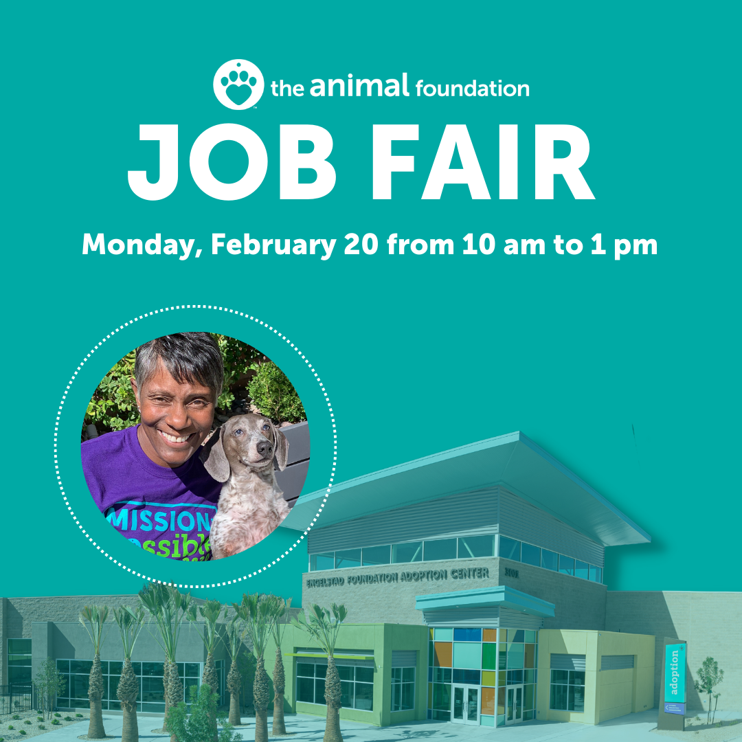 the-animal-foundation-job-fair