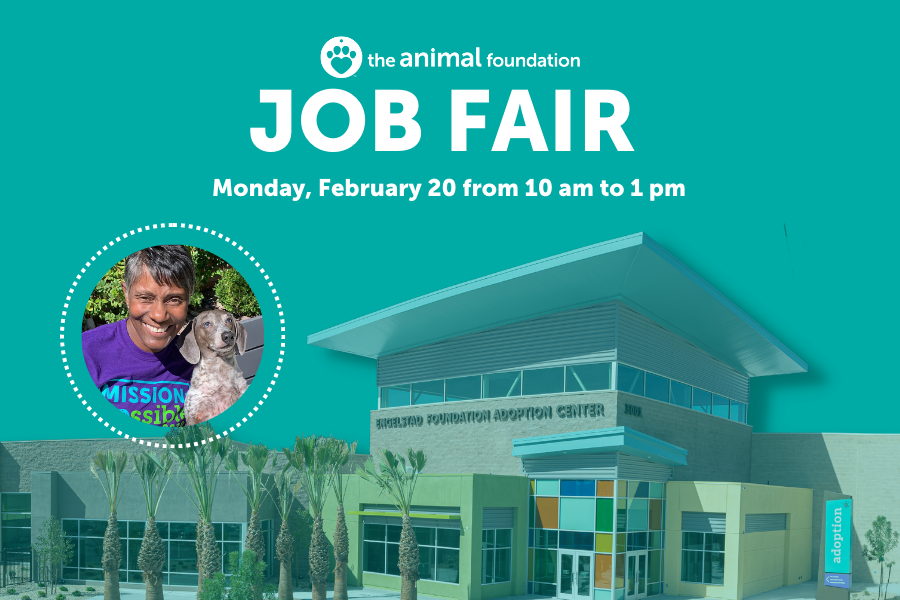 The Animal Foundation Job Fair