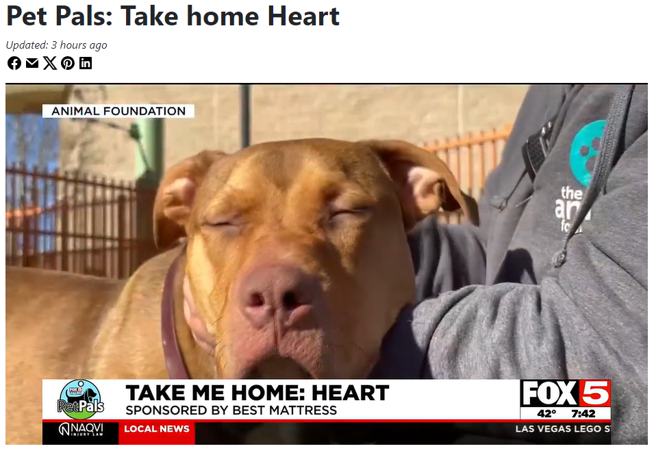 This Dog has Heart!