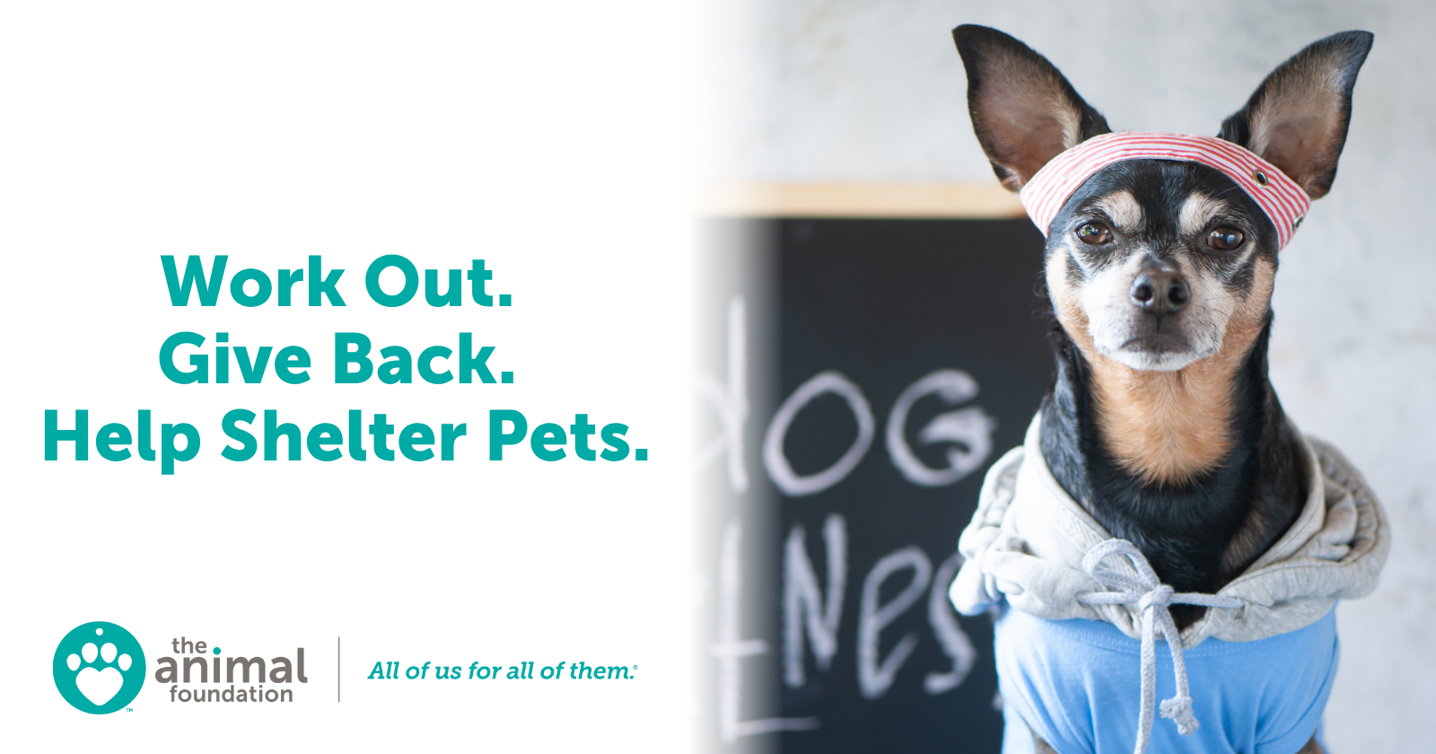 Work Out. Give Back. Help Shelter Pets.