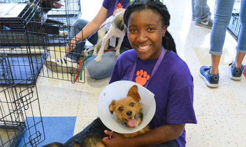 Girl With Shelter Dog 