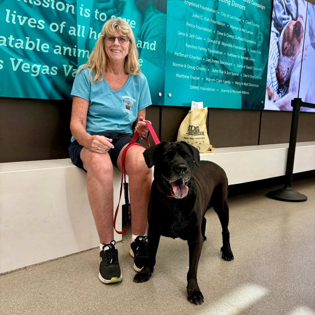 'Boring' dog headed to foster home after being returned for being too calm