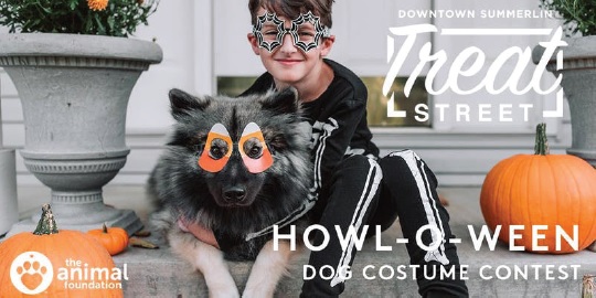 HOWL-O-WEEN Dog Costume Contest