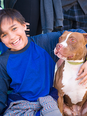 are pit bulls safe family dogs