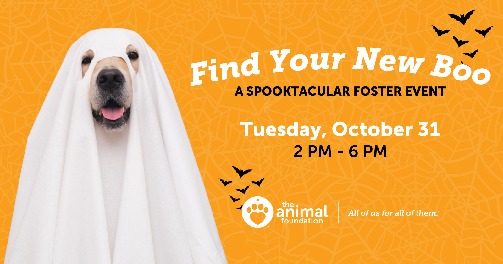 Find Your New Boo: A Spooktacular Foster Event