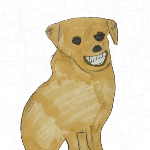 Poorly Drawn Pets Thumbnail.jpg
