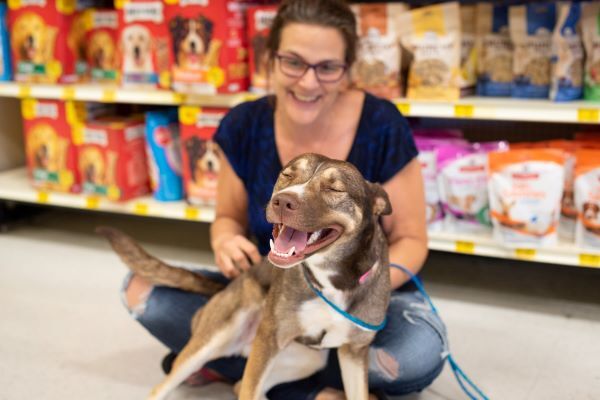 PetSmart Adoption Event in Henderson