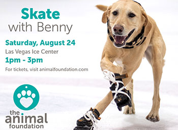 Skate with Benny Fundraiser