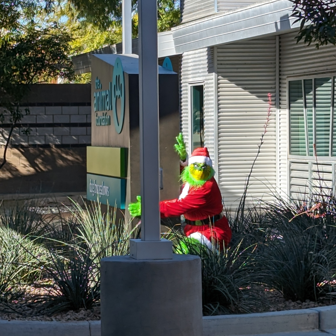 Grinch Candid Photo.png