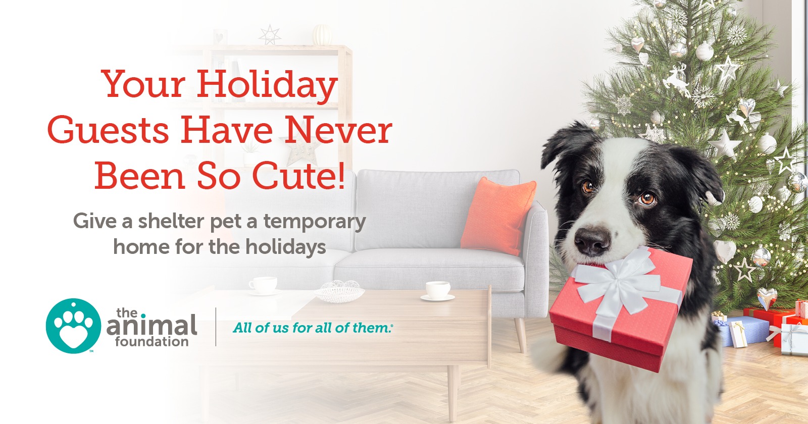 Foster for the Holidays