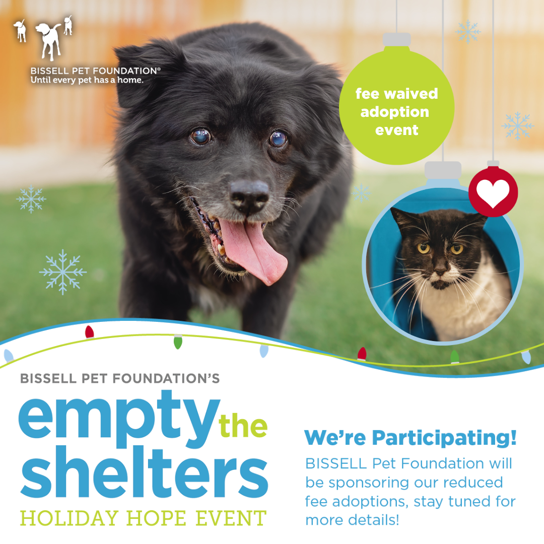 Fee-Waived Adoptions December 1-11