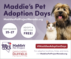 Maddie's Pet Adoption Days