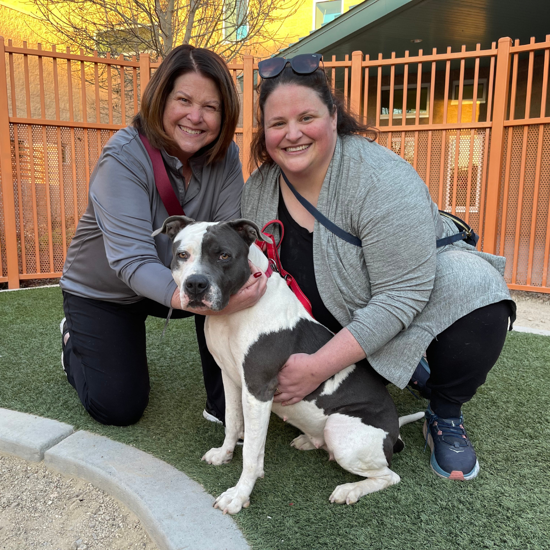 Hill's Pet Welcome Home Adoption Event