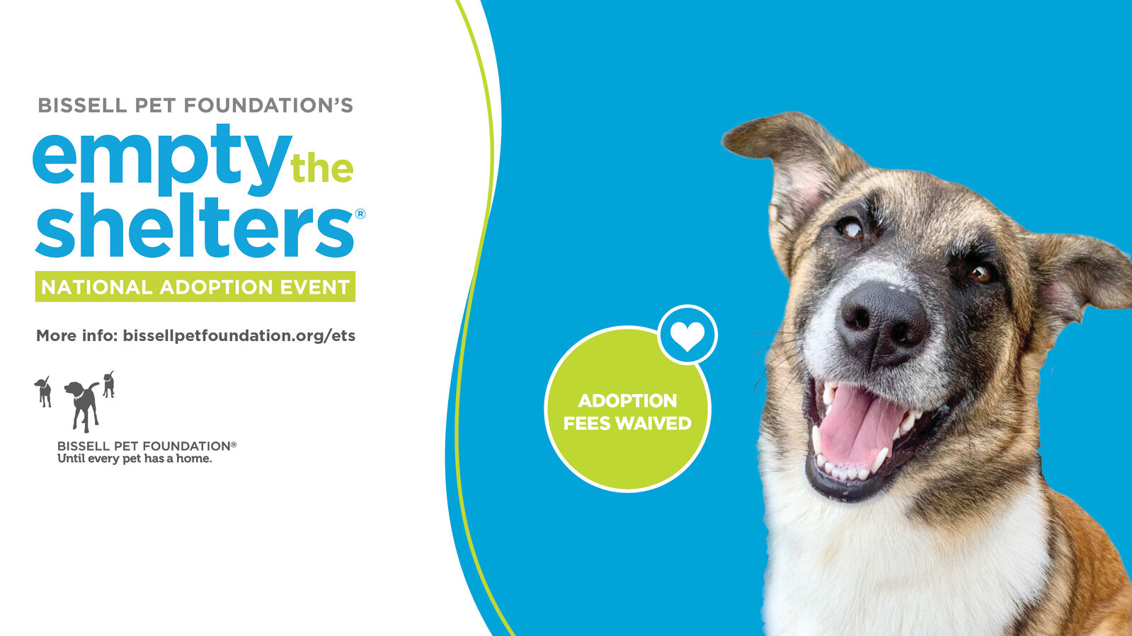 Bissell Pet Foundation's Empty the Shelters