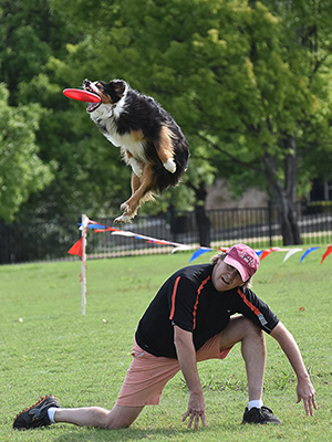 Dog-Sports-Frisbee.jpg