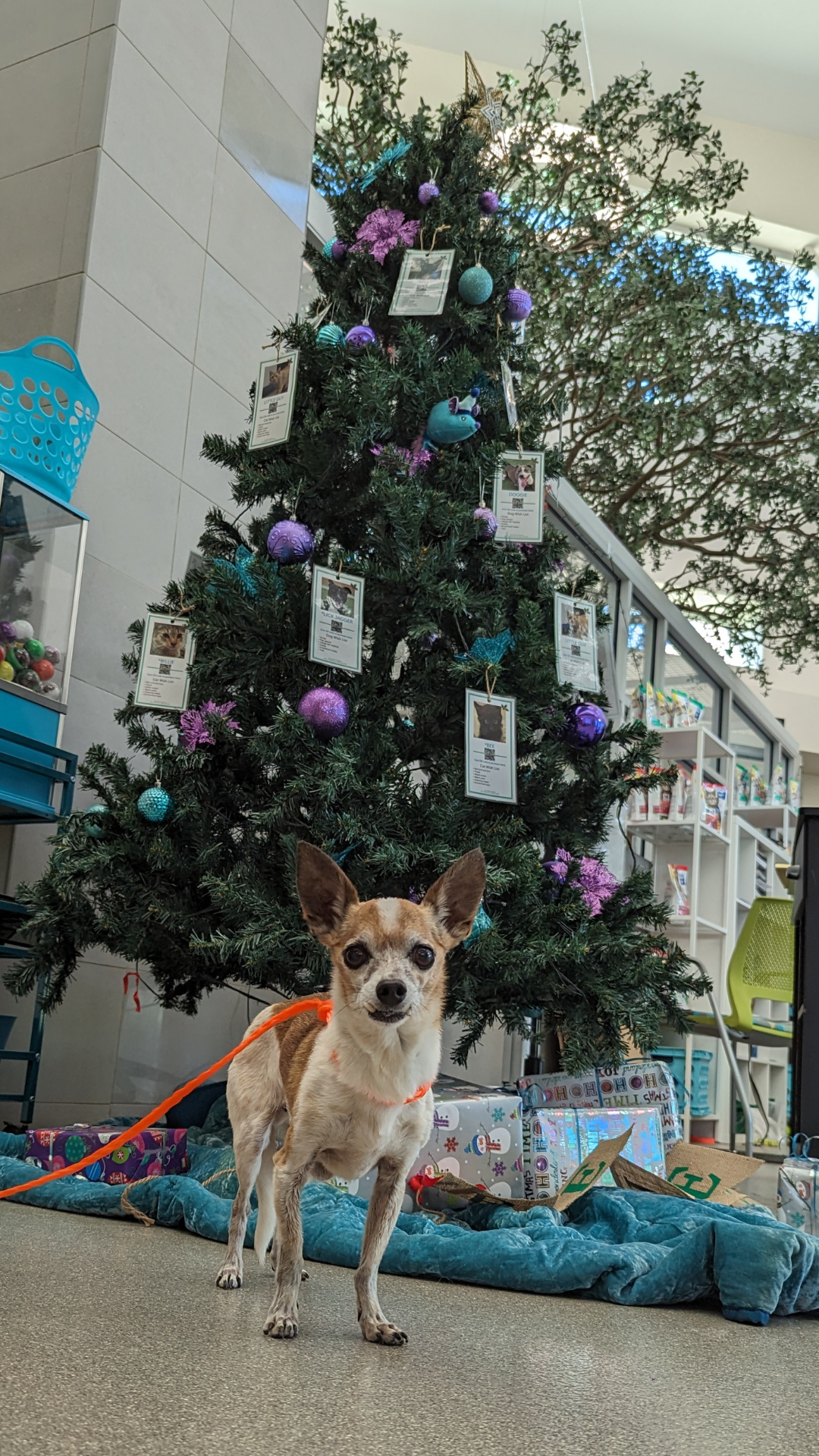 Latch Giving Tree.png