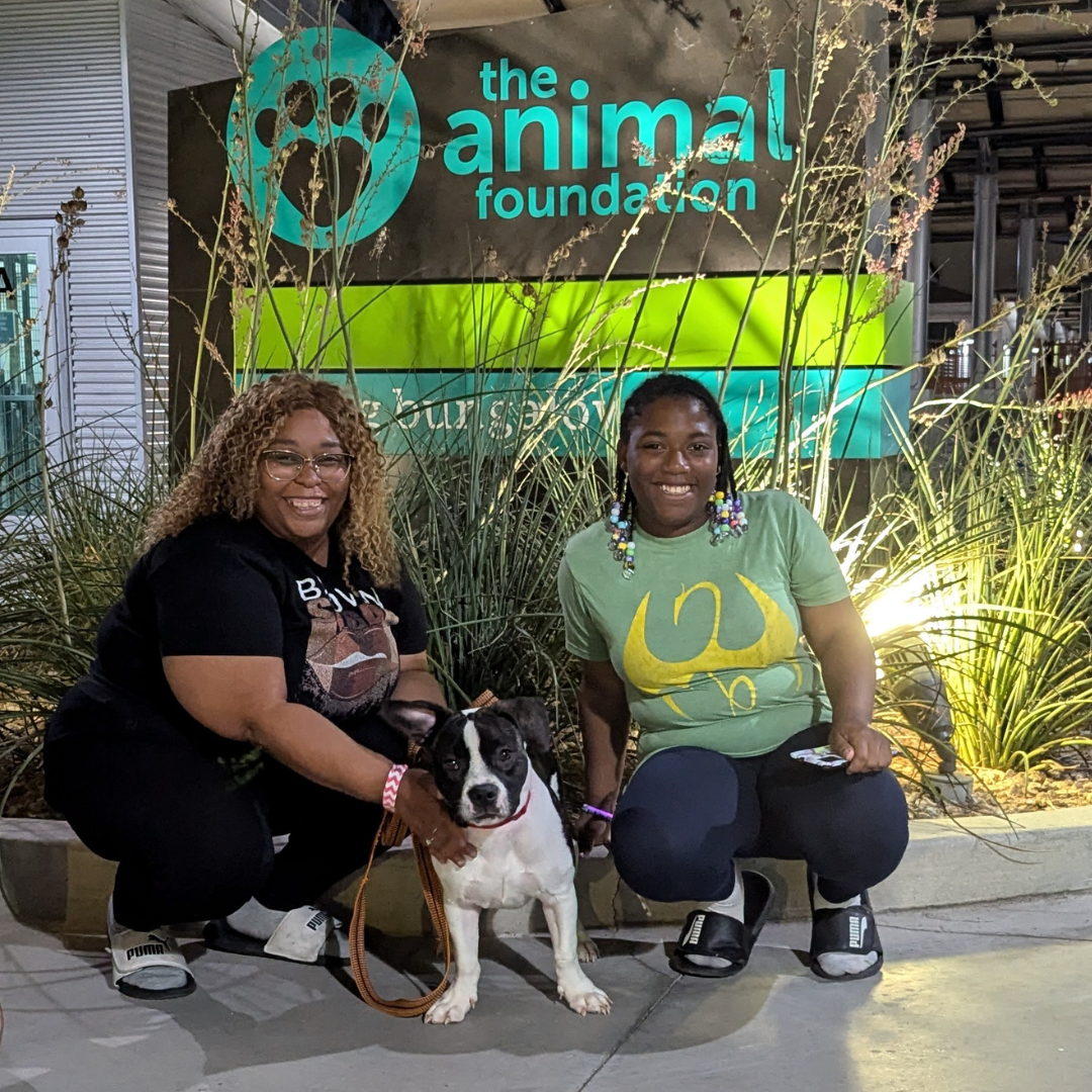 35 animals adopted at shelter’s EDC event involving furry friends