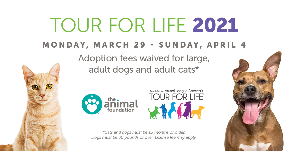 Tour For Life Adoption Event