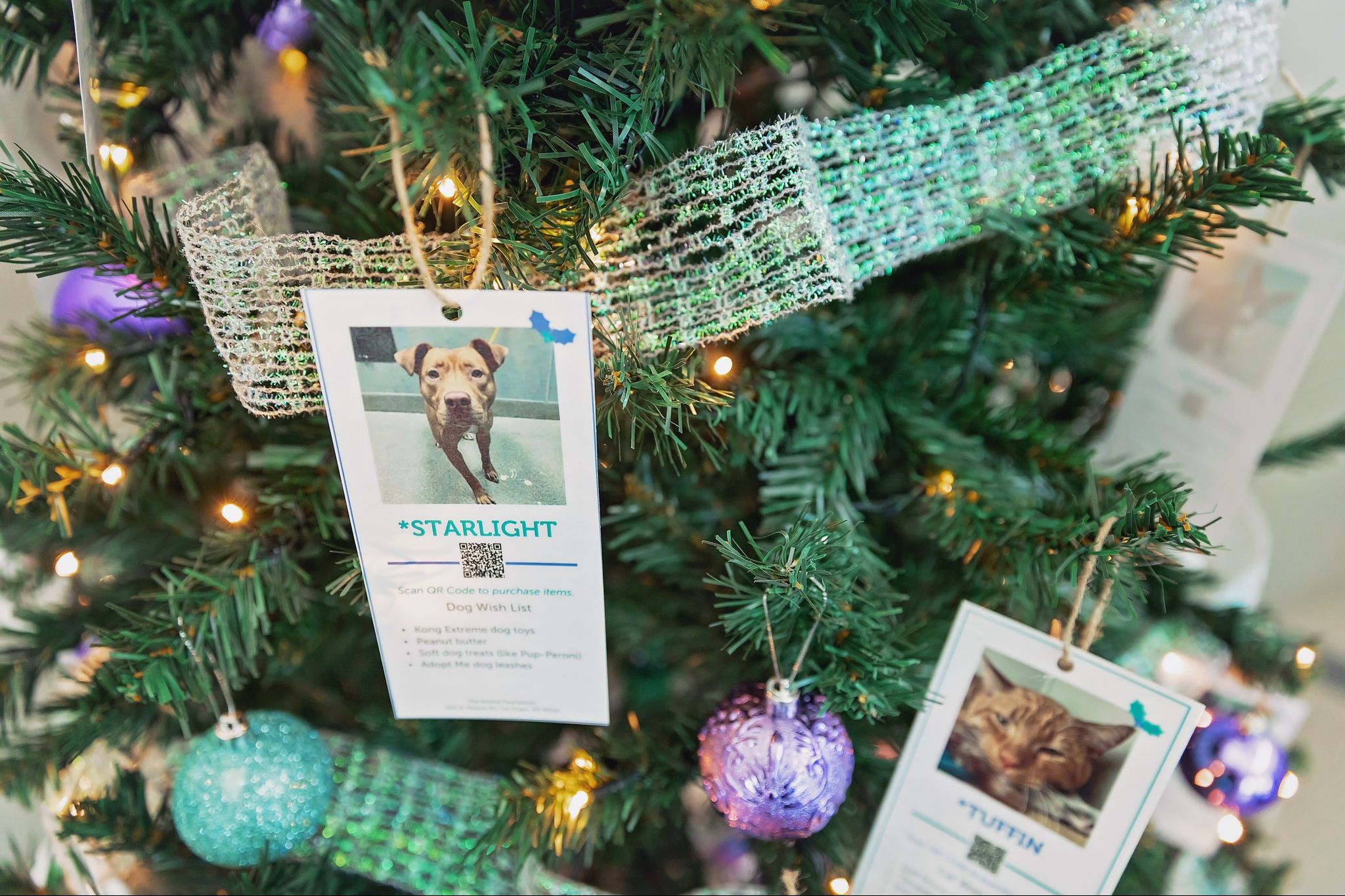 The Animal Foundation Giving Tree