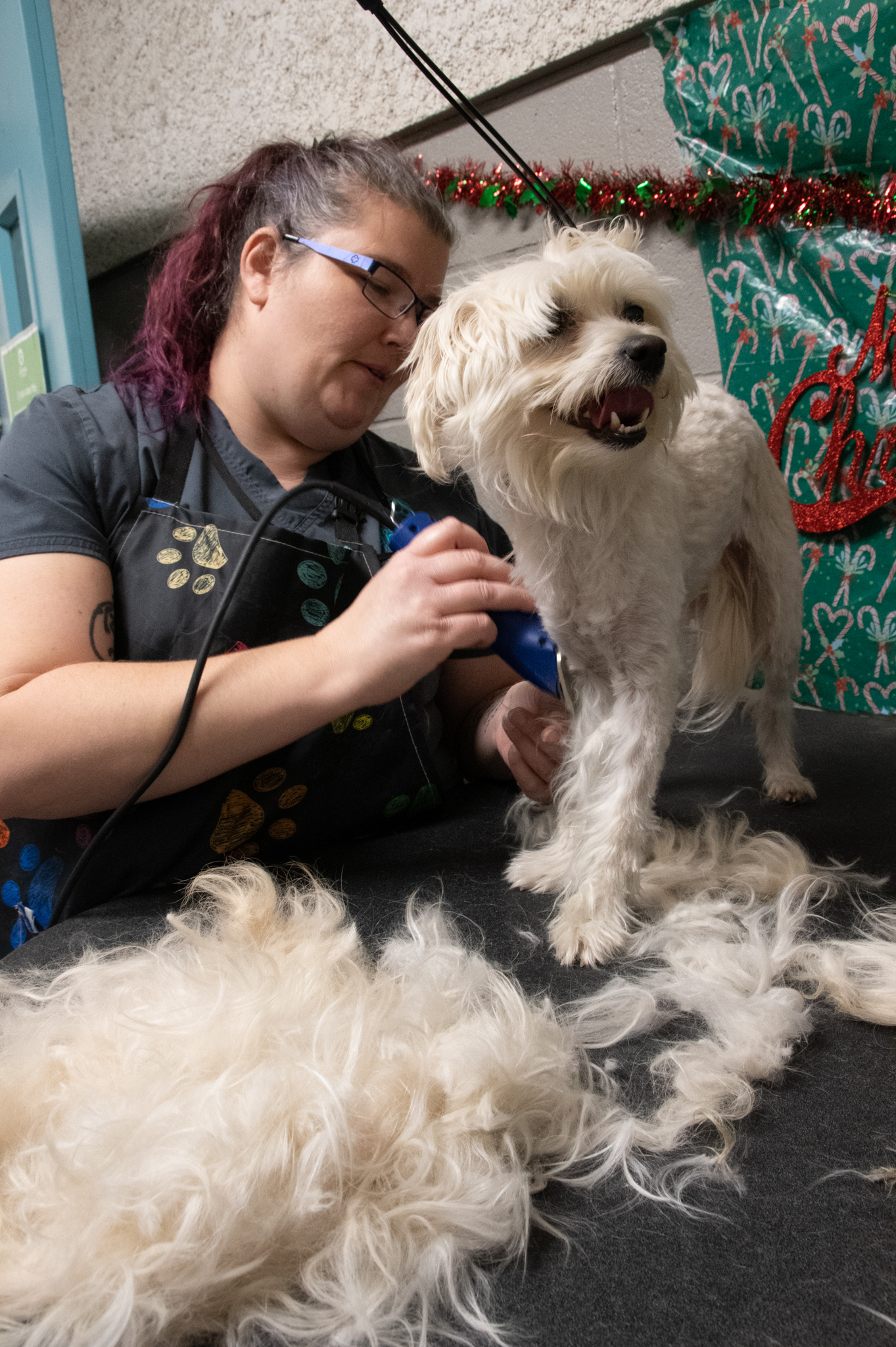 Krystal Groomer.jpg