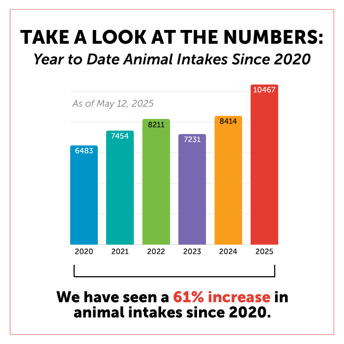Square intake numbers.png