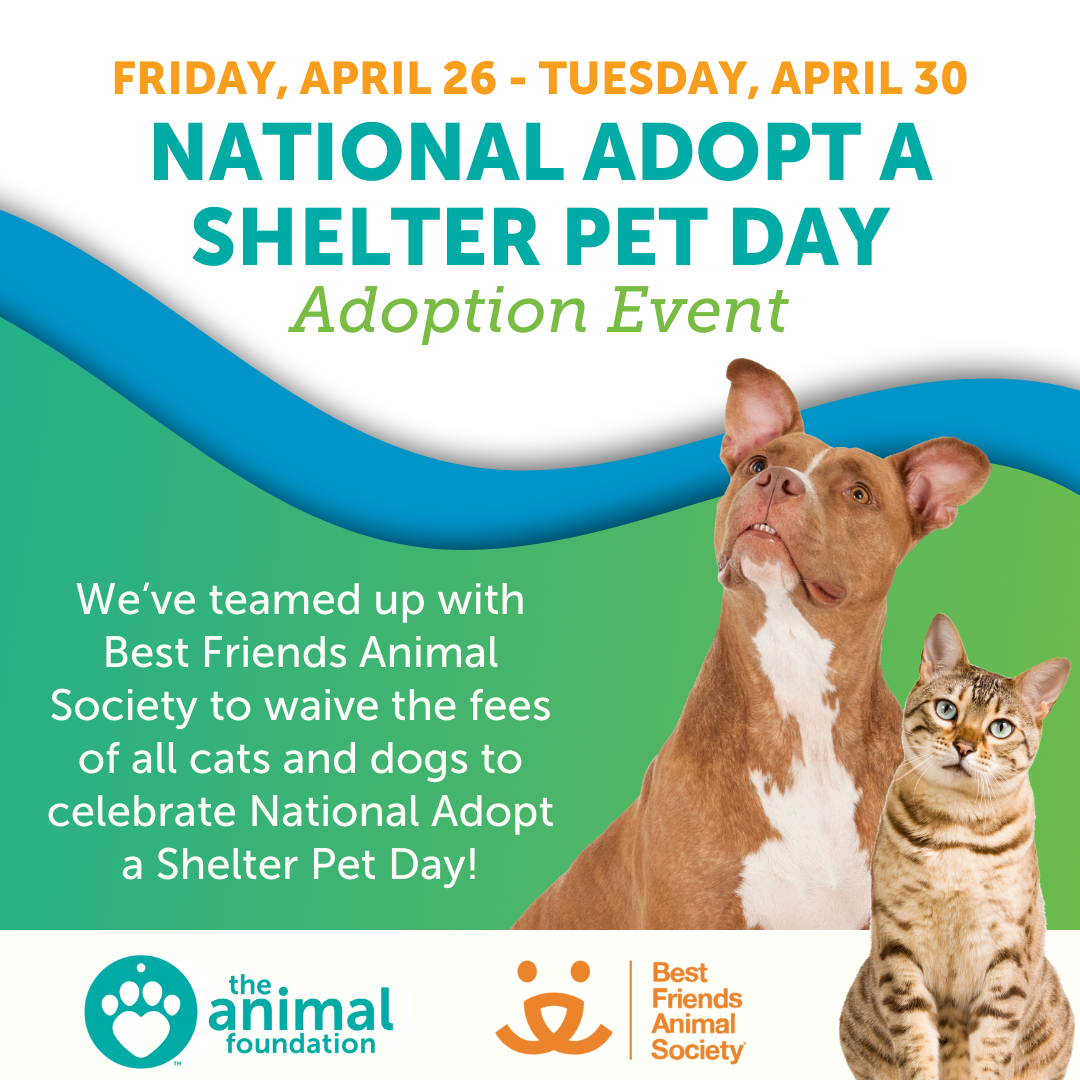 National Adopt a Shelter Pet Day Adoption Event
