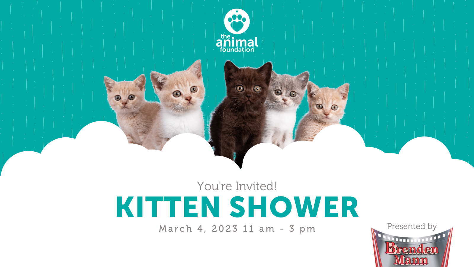 You're Invited to our Kitten Shower!