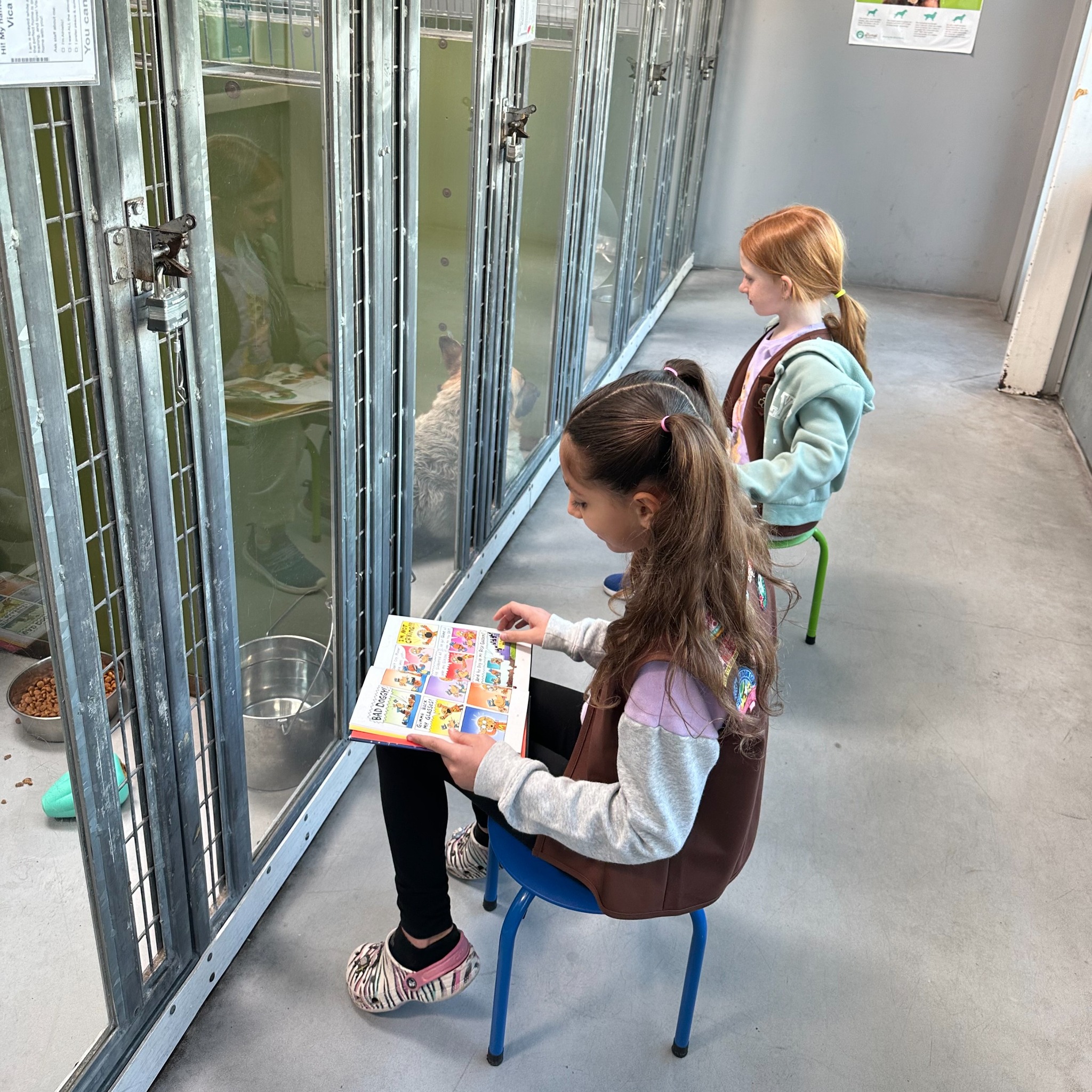 Summer Reading Program