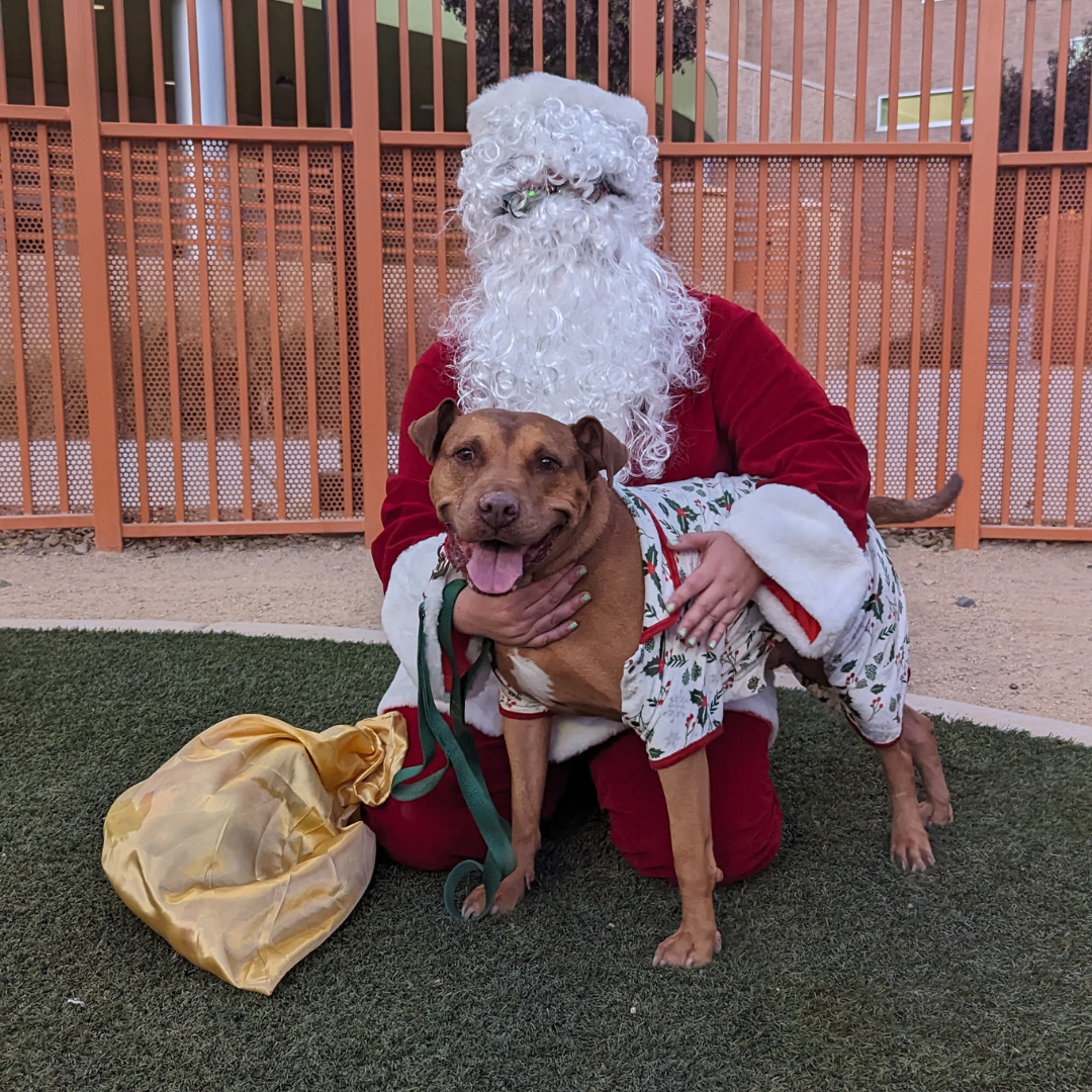 Hashbrown Santa Photo.png