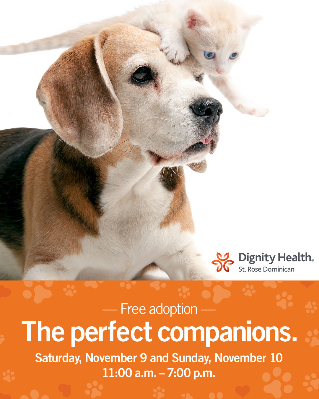 Free Pet Adoption Weekend Sponsored by Dignity Health