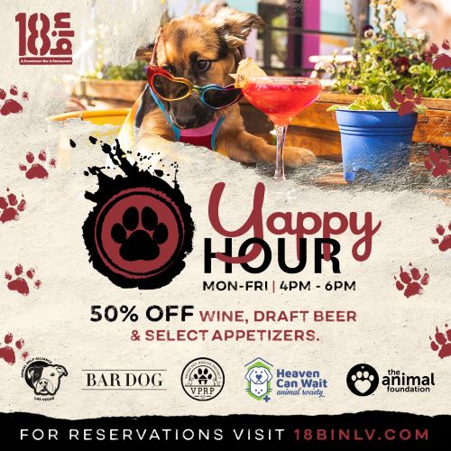 Yappy Hour at 18bin