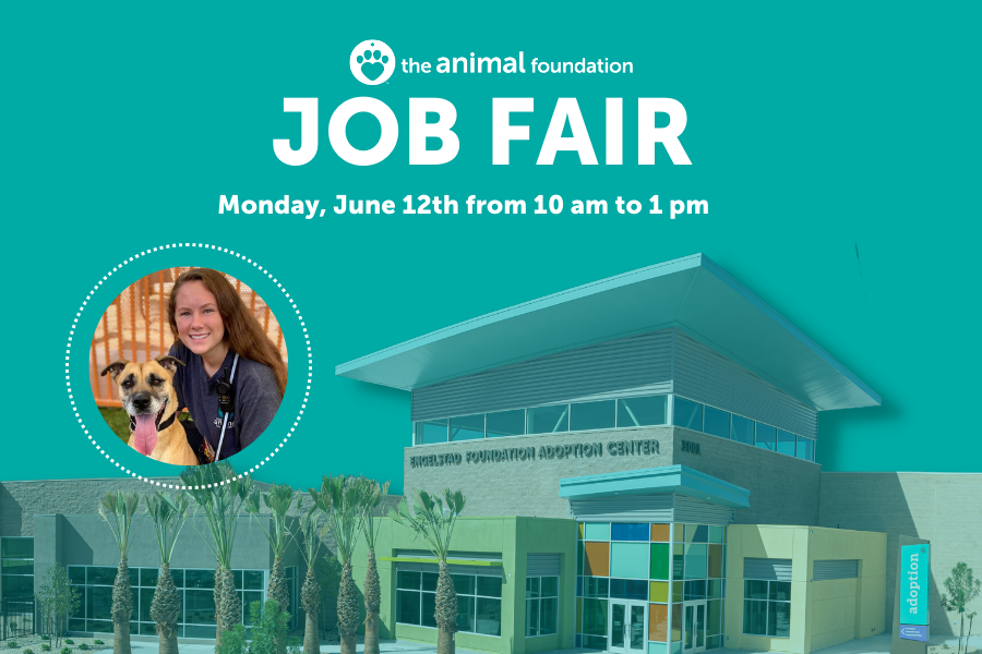 The Animal Foundation Job Fair